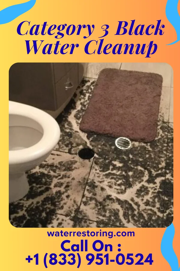 Category 3 Black Water Cleanup in Skelp, PA