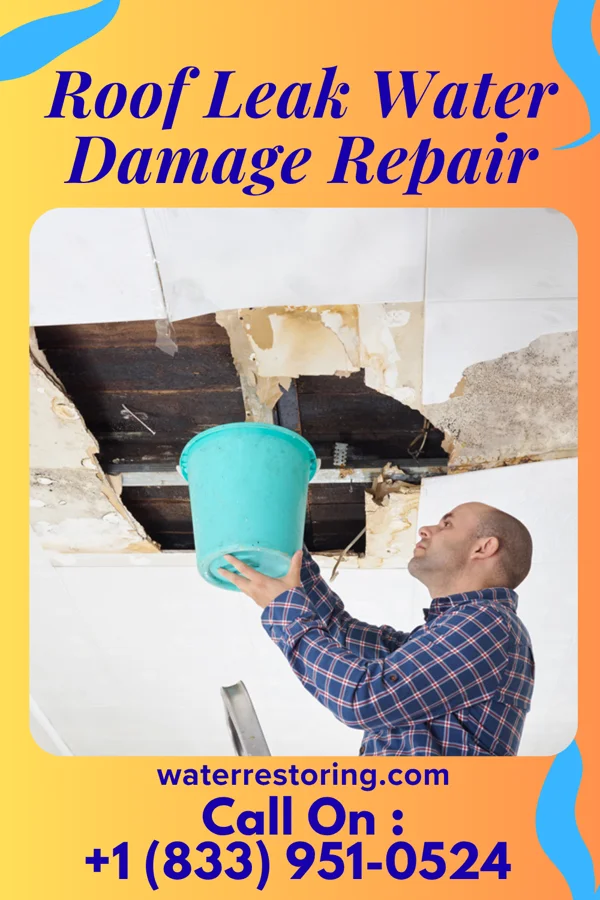 Roof Leak Water Damage Repair in Skelp, PA