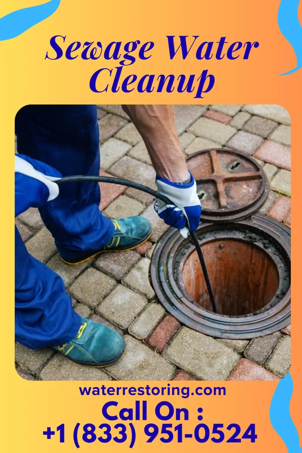 Sewage Water Cleanup in Skelp, PA