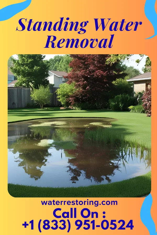 Standing Water Removal in Skelp, PA